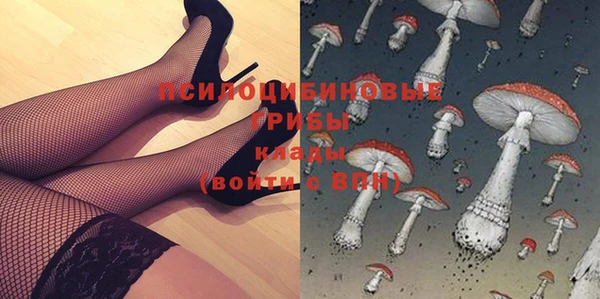 тгк Абдулино