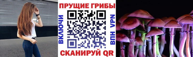 hydra сайт  маркетплейс телеграм  Галлюциногенные грибы мицелий  Батайск 